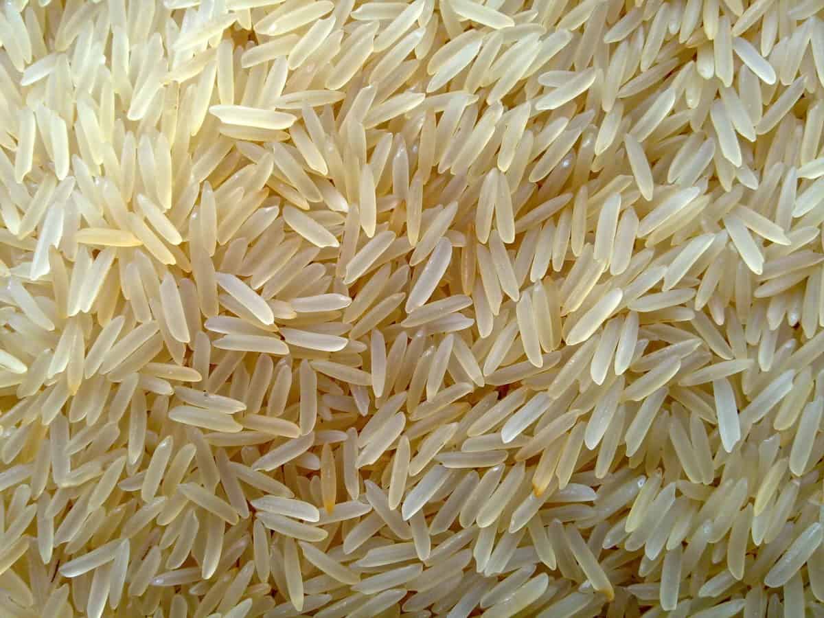 1121 Golden Sella Basmati Rice
